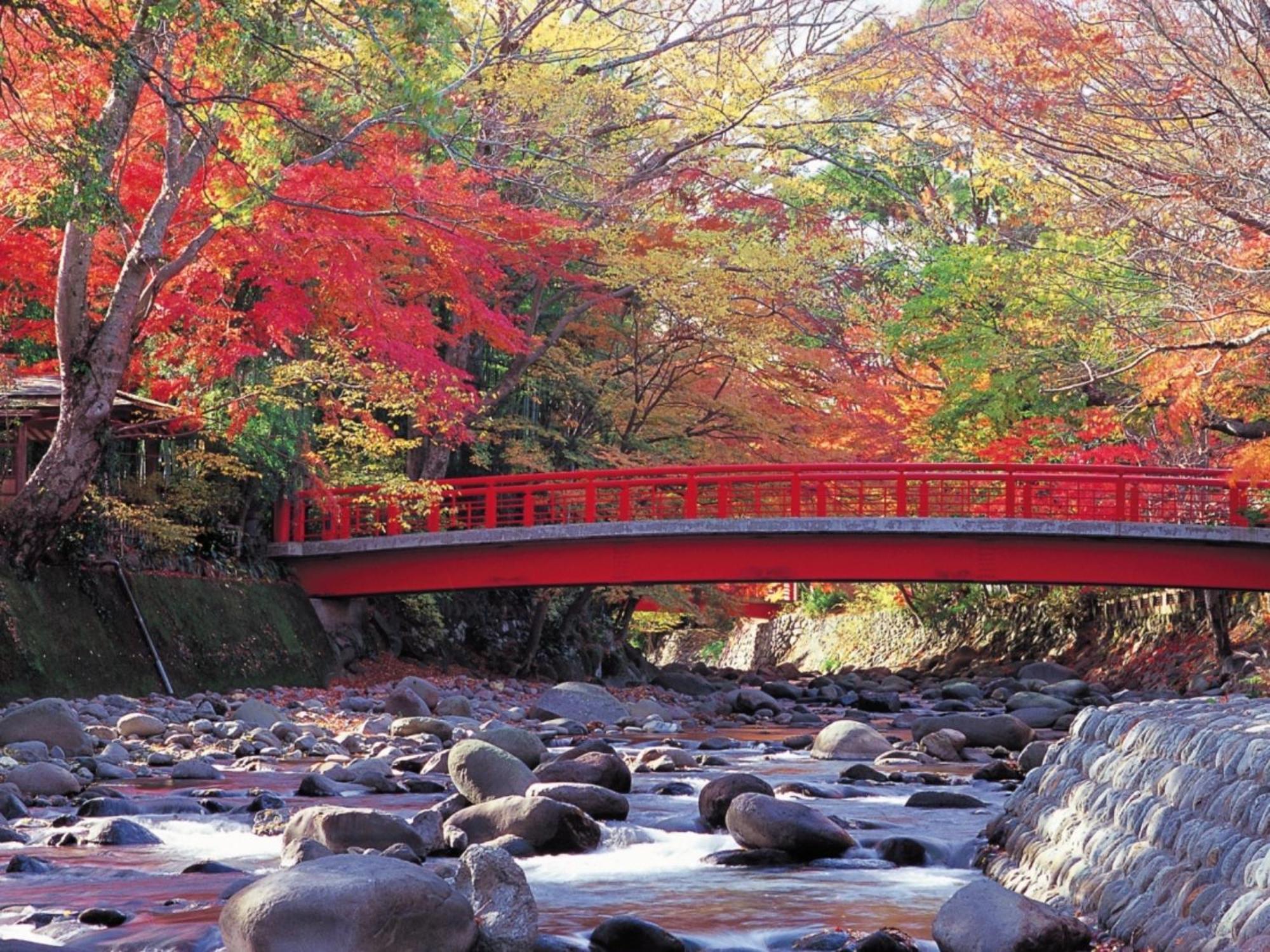 Shuzenji Onsen Hotel Takitei Izu  Buitenkant foto