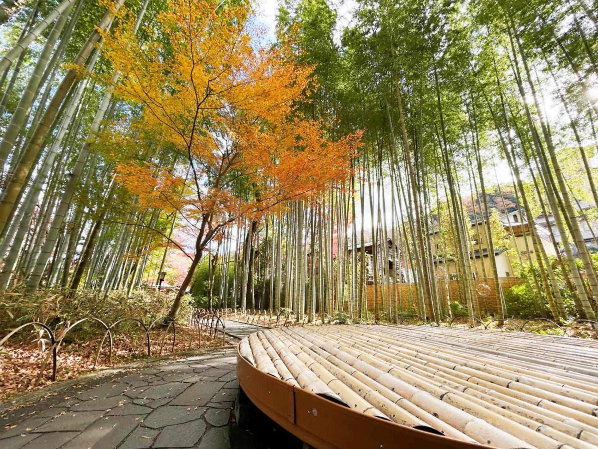 Shuzenji Onsen Hotel Takitei Izu  Buitenkant foto
